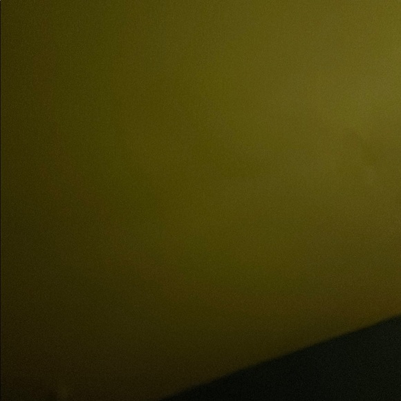 Meet your Posher, Coco - Picture 1 of 1